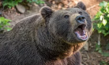 Cardano [ADA] Technical Analysis: Bear attack imminent after brief respite