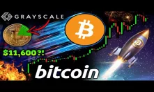 INSANE Bitcoin FOMO! Grayscale Buys 21% of $BTC! Investors Pay $11,600 Per Coin! 