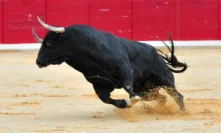New Cryptocurrency Bull-Run Already Started, Says Santiment Report