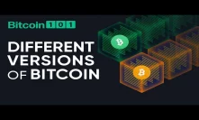 Why is there more than one version of Bitcoin? - Bitcoin 101