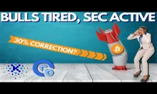 Bitcoin Bulls on a Break, 30% DROP? KIK ICO vs SEC, Opacity Launch - Crypto News