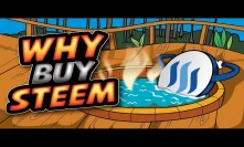 Critical Analysis of Steem and Why I'm Invested