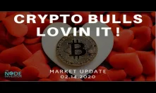 Crypto Weekly Wrap Up - Bulls Remain Resilient - Big Picture is Positive for 2020!