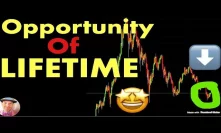 Bear Market Bottoms: The Opportunity Of a LIFETIME