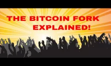 Bitcoin Fork? What is Bitcoin Cash? What should You do?
