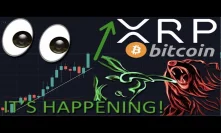 XRP/RIPPLE & BITCOIN ON THE VERGE OF A MASSIVE PRICE ERUPTION | ALL TIME HIGH'S AROUND THE CORNER