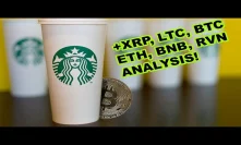 Bitcoin coming to Starbucks this year? Should you buy XRP, BTC, ETH, or LTC?