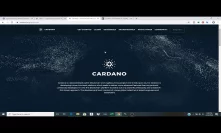 Cardano Shelly Coming And We See Bitcoin Price Drop As We Approach Halving