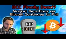 Don't PANIC About Crypto! Bitcoin | Ethereum Falls Below $300 | BCC Considered Dead