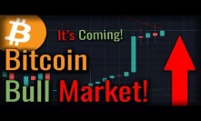 A Bitcoin Bull Run Will Start This Year - WATCH THIS VIDEO If You Still Don't Believe In Bitcoin!