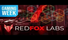 Best Gaming Projects In Crypto - Red Fox Labs
