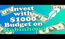 How to Invest on Robinhood App with only $1000 Budget in 2020