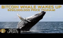 Bitcoin Whale $250,000,000 Moved - Price Tsunami Coming?
