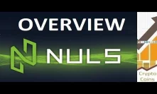 Overview: Nuls (NULS) the Adaptable Blockchain for Enterprise Solutions. Should You Invest?