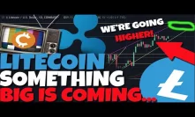 LITECOIN HODLERS MUST WATCH: Litecoin & Alts Are Setting Up For A HUGE Move - Google (XRP)