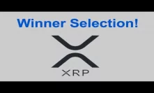 Winner Selection of 100 Ripple XRP Giveaway! - ThinkingCrypto.com