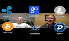 Staking Coins! Cardano, Omisego! Our Investment Strategy! #Podcast 13