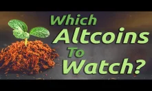 The Crypto Market Is HOT! Which Altcoins Should You Be Watching?! 