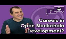 Bitcoin Q&A: Careers in open blockchain development?