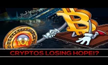 Are People Losing Hope In Crypto? (SURPRISING ANSWER!)