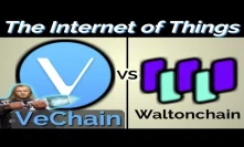 Vechain vs Waltonchain (My Cryptocurrency Pick)