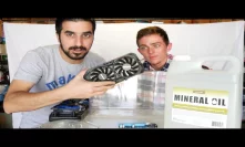Coolest Bitcoin Mining Miner - Liquid Cooled Experiment