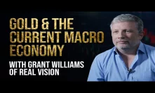 Grant Williams of Real Vision - Gold & The Macro Economy
