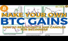 Make Your Own BITCOIN Gains - Basic Technical Analysis using Charts for Beginners