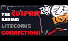 UPDATE: The Culprit Behind Litecoins Fall! - Bitcoin Cash?