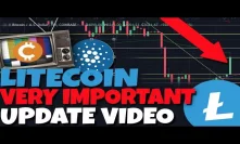 LITECOIN UPDATE: My Litecoin Buying Strategy SECRET Revealed - Central Banks Cause Rally? (ADA)