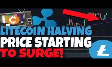 Litecoin Halving Is Going To Start A Price Surge! WHAT YOU NEED TO KNOW! (XRP Analysis)