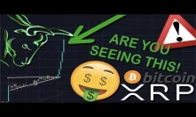 URGENT! WHY XRP/RIPPLE & BITCOIN ARE EXPLODING! YOU MUST DO THIS NOW | ARE WE HEADED TO $10,000?