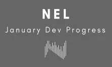 NEL reports January development for NNS, BlaCat and other projects