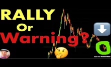 Is This a Bitcoin & Crypto RALLY or WARNING Signs?