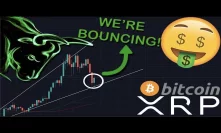 AMAZING: XRP/RIPPLE & BITCOIN ARE BOUNCING | THIS IS HOW HIGH WE WILL GO!