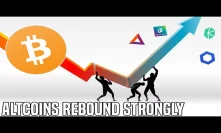 Crypto Markets Rebound | The Altcoin Cycle Continues