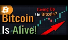 Have You Lost Hope In Bitcoin? Watch This Video!