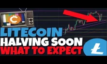 GET READY: LITECOIN HALVING SOON! WHAT TO EXPECT, IMPORTANT INFORMATION