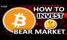 ???? How to invest into Crypto during Bear Market ????