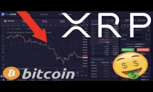Ripple/XRP - Bitcoin WILL See Return of 2017 BULL Price Rally | How I Prepare/DueDex