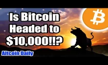 Fasten Your Seatbelts!! IS BITCOIN HEADED TO 10K!!?! [Cryptocurrency, Altcoin News]