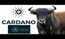 April Cardano Bullrun Possibility With Big Things For ADA Like Shelly New Roadmap IOHK