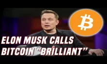 Elon Musk Calls Bitcoin 
