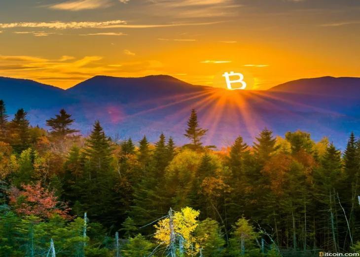 New Hampshire House Subcommittee Approves Bitcoin for Taxes Bill
