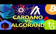 Cardano vs Algorand | Tezos Implements Chainlink | Paxful | Bitcoin News