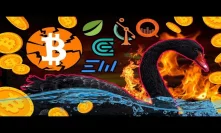 If This Bitcoin Black Swan Event Is True It COULD Seriously Damage the Crypto Space Short-Term...