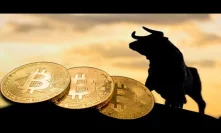 Bitcoin Bull Run Next Week, Bakkt Cash, Bitcoin Options, BTC Cash Back & Tezos Support