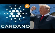 A Trump Bitcoin Ban Could Be Good News For Cardano