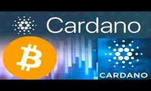 Cardano Could Replace Bitcoin In the Long term ADA To Be New BTC An Analysis