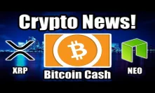 Bitcoin OTC Trading CONFIRMED! Actual Crypto Volume 2x Larger!! Plus Bitcoin Cash, XRP, & NEO News!!